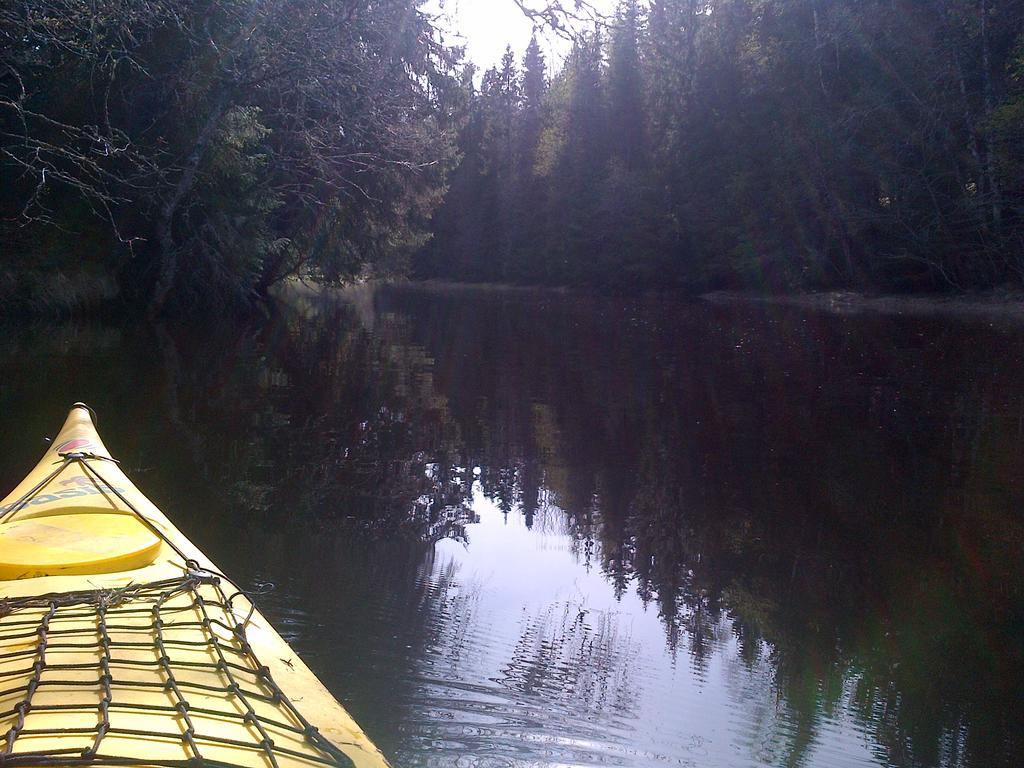 Holmset Camping And Fishing Namdalseid Εξωτερικό φωτογραφία
